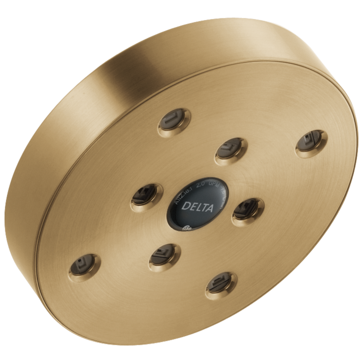 DELTA Universal Showering Components H2OKINETIC Single-Setting Raincan Shower Head — Champagne Bronze
