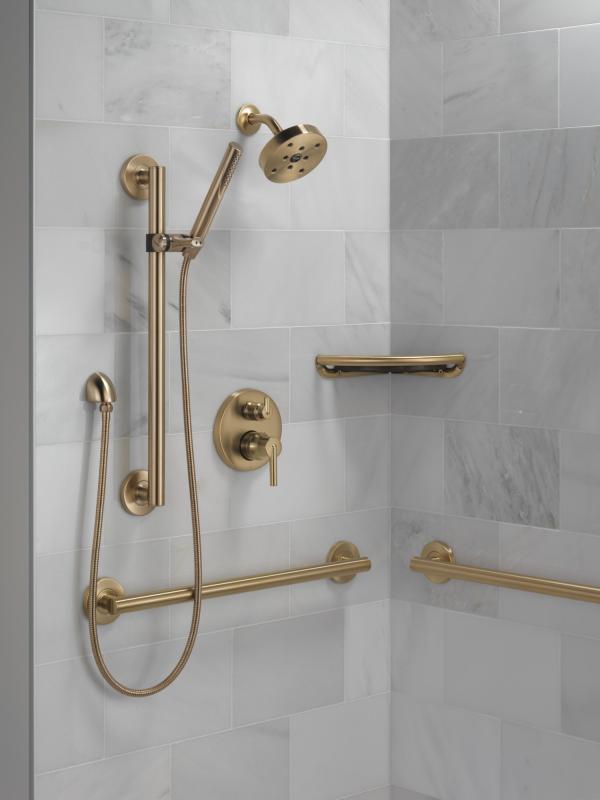 DELTA Trinsic Single-Setting Hand Shower — Champagne Bronze