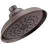 Venetian Bronze