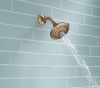 DELTA Universal Showering Components 5-Setting Raincan Shower Head — Champagne Bronze