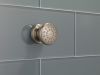 BRIZO Essential Shower Touch-Clean Round Body Spray — Brushed Nickel