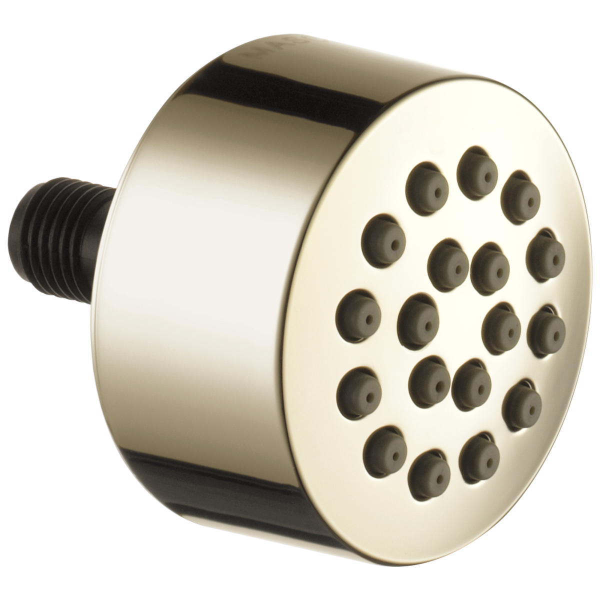 DELTA Other Touch-Clean Spray Head — Lumicoat® Polished Nickel