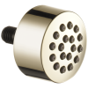 BRIZO Other Hydrachoice Touch-Clean Spray Head — Polished Nickel