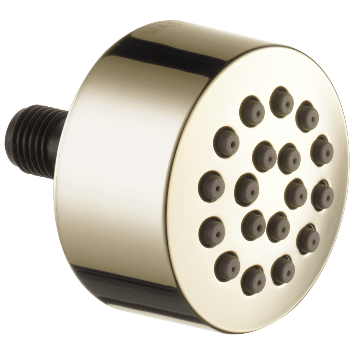 BRIZO Other Hydrachoice Touch-Clean Spray Head — Polished Nickel