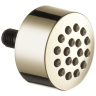 Polished Nickel