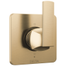 Champagne Bronze