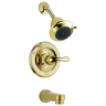 Polished Brass