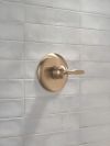 DELTA Bonacci 14 Series Valve Only Trim — Lumicoat® Champagne Bronze