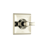 Polished Nickel