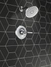 DELTA Kayra Monitor 14 Series Shower Trim — Chrome
