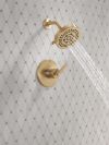 DELTA Altado Monitor 14 Series Shower Trim — Champagne Bronze