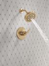 DELTA Altado Monitor 14 Series Shower Trim — Champagne Bronze