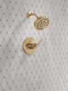 DELTA Altado Monitor 14 Series Shower Trim — Champagne Bronze