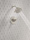 DELTA Altado Monitor 14 Series Shower Trim — Stainless