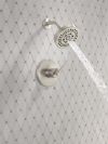 DELTA Altado Monitor 14 Series Shower Trim — Stainless