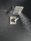 DELTA Trillian 14 Series H2Okinetic Shower Only Trim — Lumicoat® Stainless