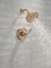 DELTA Bonacci 14 Series Shower Trim — Lumicoat® Champagne Bronze