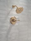 DELTA Bonacci 14 Series Shower Trim — Lumicoat® Champagne Bronze