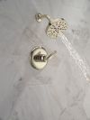 DELTA Bonacci 14 Series Shower Trim — Lumicoat® Polished Nickel