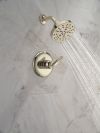 DELTA Bonacci 14 Series Shower Trim — Lumicoat® Polished Nickel