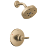 Champagne Bronze