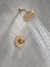 DELTA Lineax Monitor 14 Series Shower Trim — Champagne Bronze