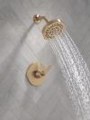 DELTA Lineax Monitor 14 Series Shower Trim — Champagne Bronze