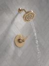 DELTA Lineax Monitor 14 Series Shower Trim — Champagne Bronze