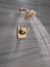 DELTA Ashlyn Monitor 14 Series Shower Trim — Champagne Bronze