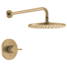 Champagne Bronze