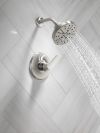 DELTA Galeon 14 Series Shower Trim with H2OKinetic — Lumicoat® Stainless