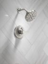 DELTA Galeon 14 Series Shower Trim with H2OKinetic — Lumicoat® Stainless