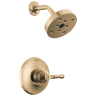Lumicoat® Champagne Bronze