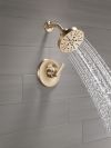 DELTA Tetra 14 Series Shower Trim — Lumicoat® Champagne Bronze