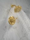 DELTA Roe Monitor 14 Series Shower Only — Brushed Gold