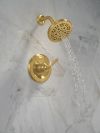DELTA Roe Monitor 14 Series Shower Only — Brushed Gold
