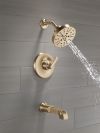 DELTA Tetra Monitor 14 Series Tub & Shower Trim — Lumicoat® Champagne Bronze