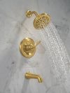 DELTA Roe Monitor 14 Series Tub and Shower — Brushed Gold