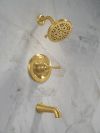 DELTA Roe Monitor 14 Series Tub and Shower — Brushed Gold