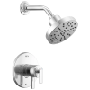 DELTA Altado Monitor 17 Series Shower Trim — Chrome