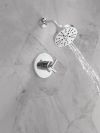 DELTA Altado Monitor 17 Series Shower Trim — Chrome