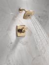 DELTA Ashlyn Monitor 17 Series Shower Trim — Champagne Bronze
