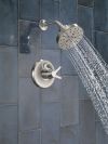 DELTA Galeon 17 Series Shower Trim with H2OKinetic — Lumicoat® Stainless