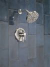 DELTA Galeon 17 Series Shower Trim with H2OKinetic — Lumicoat® Stainless