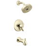 Polished Nickel