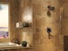 DELTA Lahara TempAssure 17T Series Shower Trim — Venetian Bronze