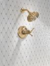 DELTA Broderick 17T Series Shower Trim — Lumicoat® Champagne Bronze