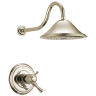 Polished Nickel