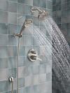 DELTA Universal Showering Components 3-Setting Wall Mount Handshower — Lumicoat® Stainless