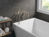 DELTA Broderick Wall Mount Tub Filler Trim with Hand Shower - Less Handles — Lumicoat® Stainless